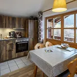 No 7 Rauschberg Holiday home Reit im Winkl